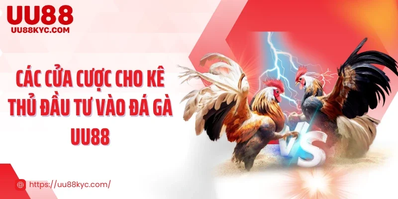 Các cửa cược cho kê thủ đầu tư vào đá gà UU88