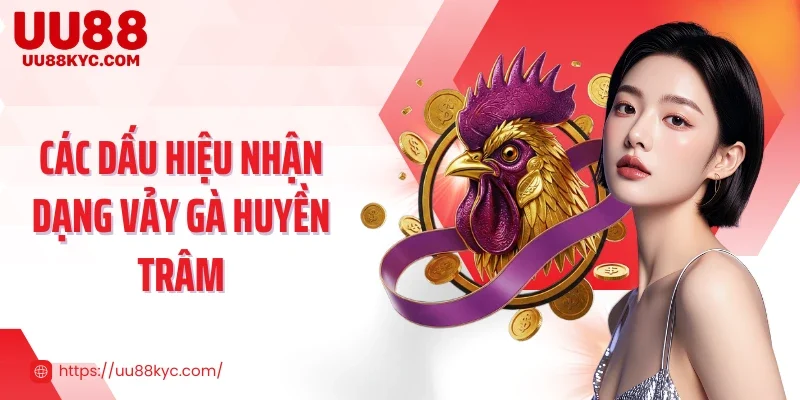 Các dấu hiệu nhận dạng vảy gà huyền trâm