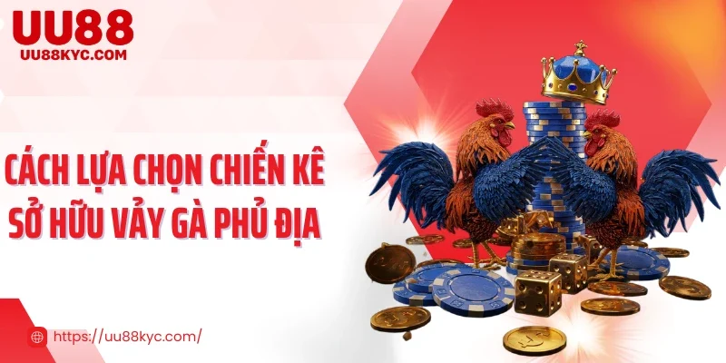 Cách lựa chọn chiến kê sở hữu vảy gà phủ địa