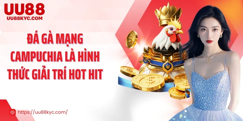 Đá gà mạng Campuchia là hình thức giải trí hot hit