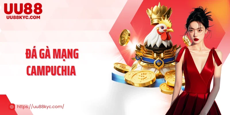 Đá Gà Mạng Campuchia - Trải Nghiệm Đá Gà Đỉnh Cao Tại UU88