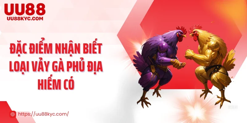 Đặc điểm nhận biết loại vảy gà phủ địa hiếm có