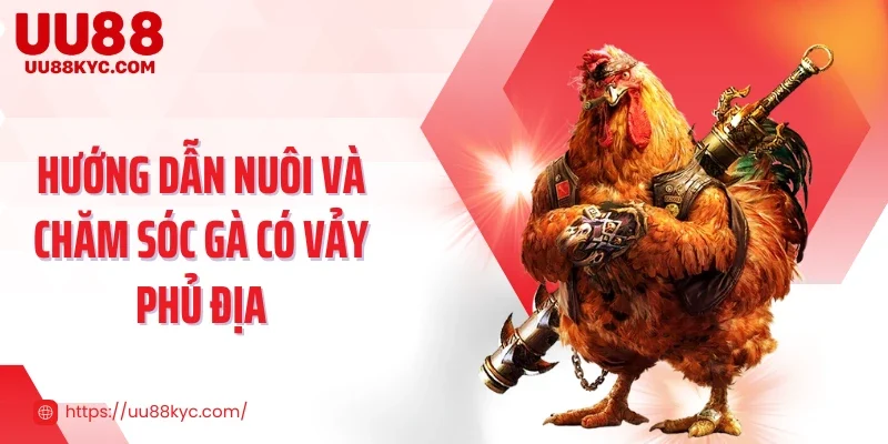 Hướng dẫn nuôi và chăm sóc gà có vảy phủ địa