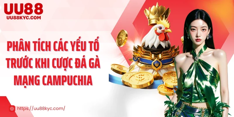 Phân tích các yếu tố trước khi cược đá gà mạng Campuchia