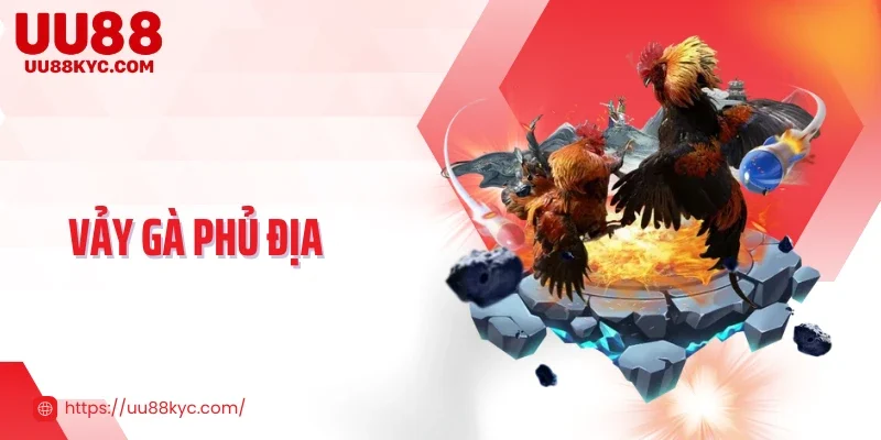 Vảy Gà Phủ Địa - Bí Quyết Tận Dụng Sức Mạnh Chiến Kê Hiếm